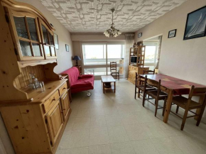 Appartement proche plage, animaux admis, parking privatif - FR-1-324A-70